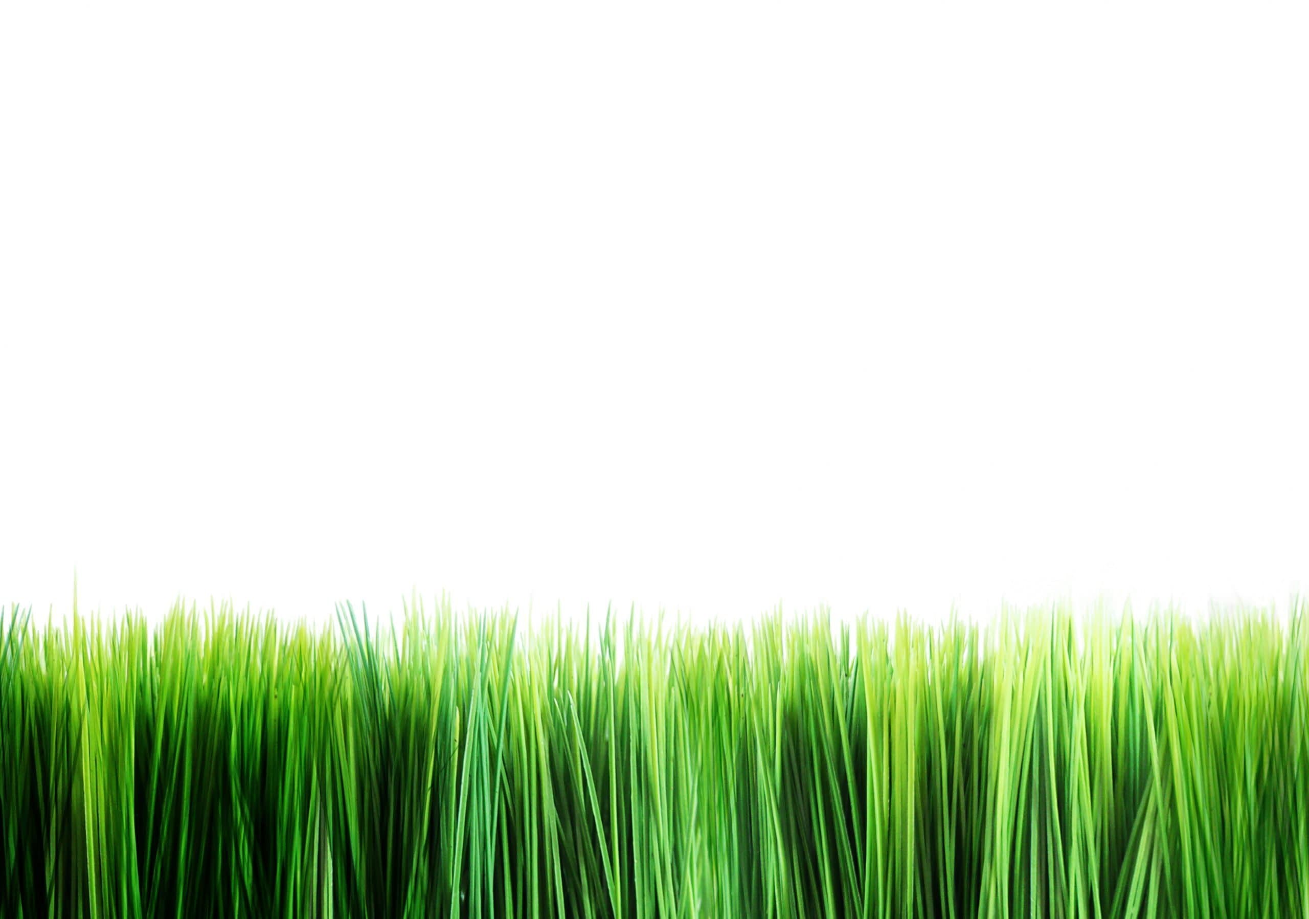 Eco-Branding... ¡Más que chic!...