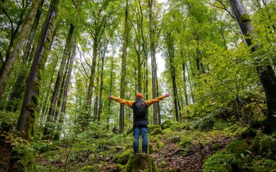 Our Blog 8 Hybrid Experiences and Brand | When Customers Distinguish Between Coherence and Incoherence